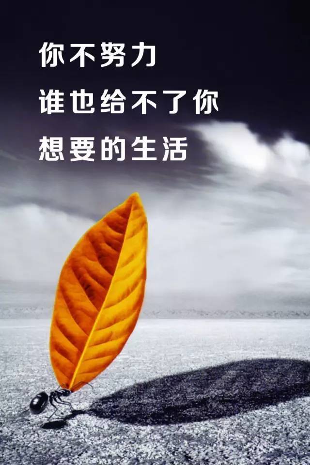 caca841560d94985ae557bd3cb01be1e.jpeg